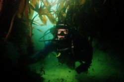 The waters around Scotland can provide great photo oppert... by Grant Kennedy 